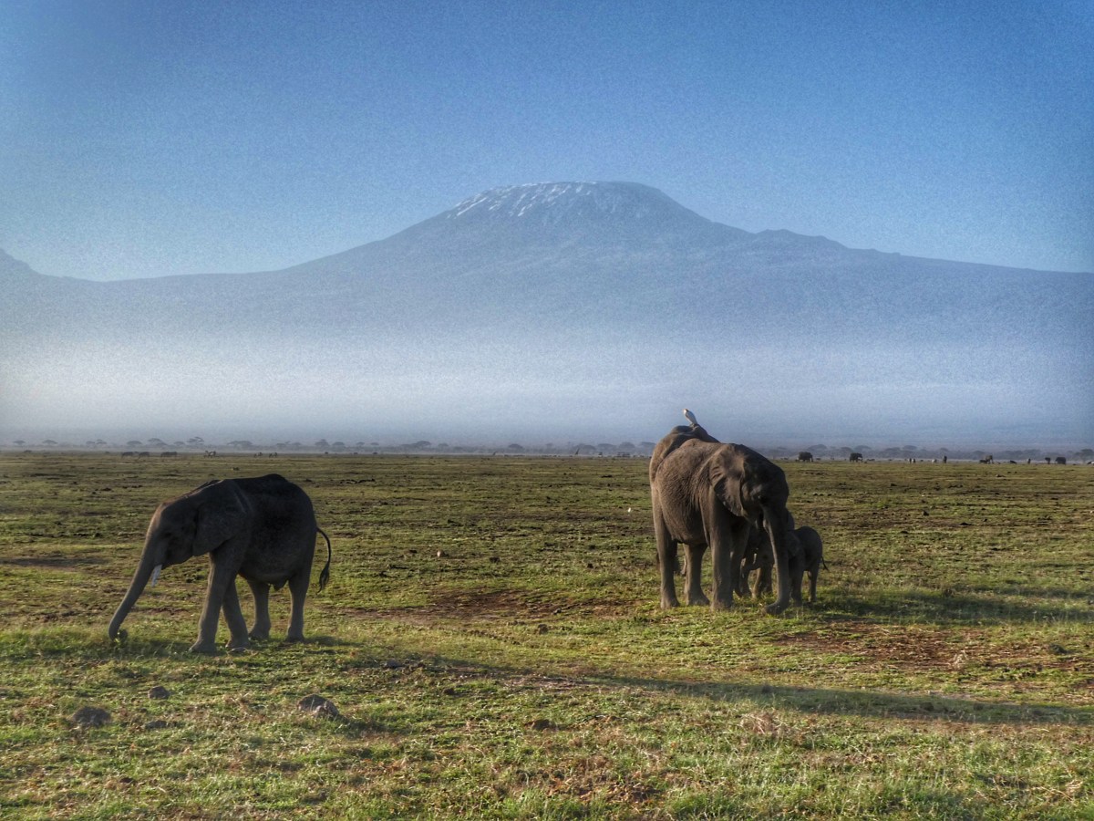 Primeros días en&nbsp;Kenia