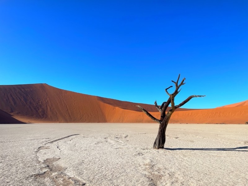 Desierto de Namib