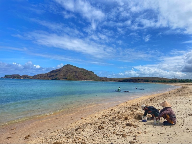 Lombok y su accidentada&nbsp;salida