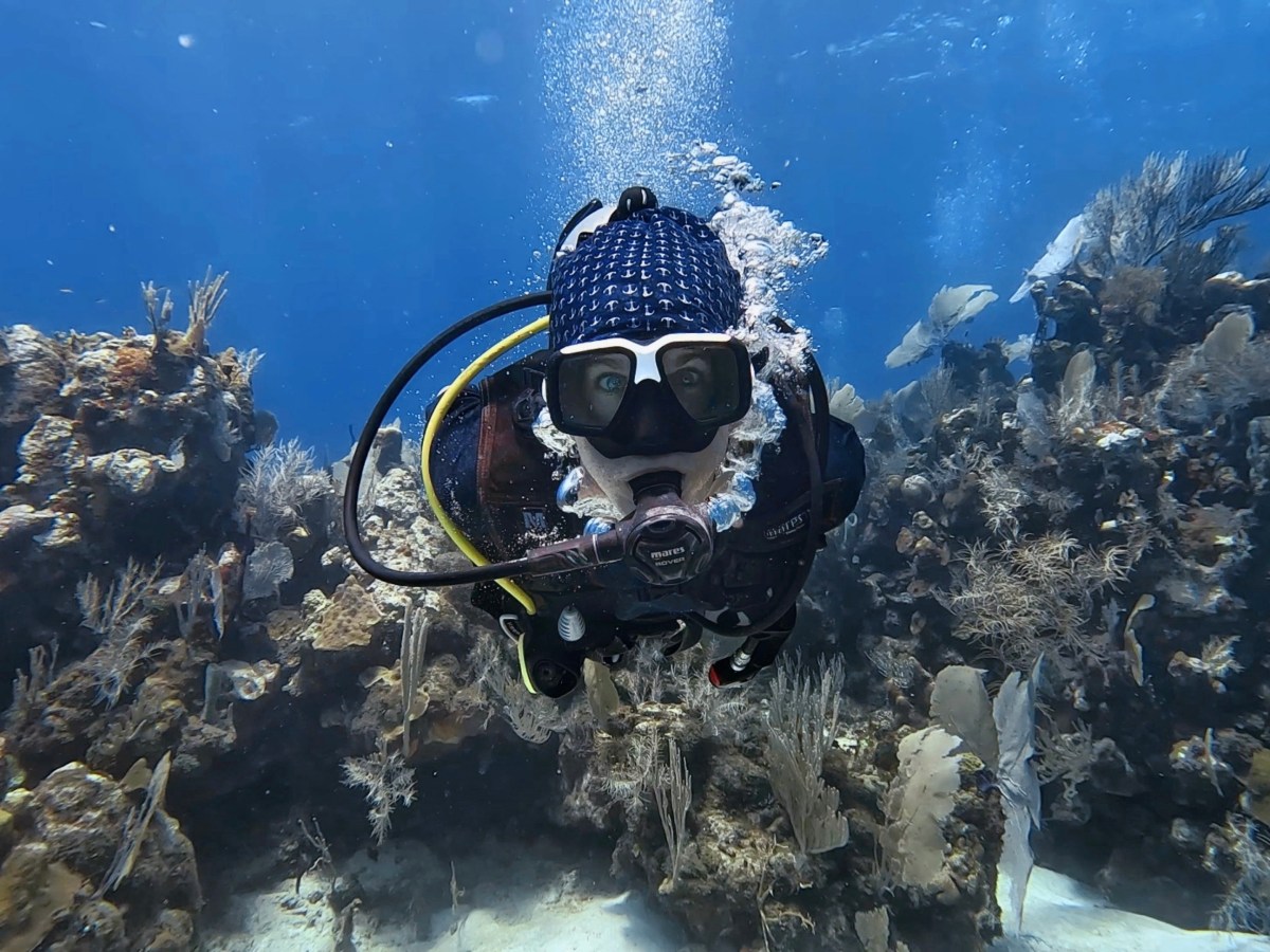 Buceo, relax y encuentros inolvidables en la isla caribeña de&nbsp;Utila